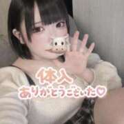 ヒメ日記 2026/02/25 15:59 投稿 はるひ ウルトラドリーム