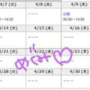 ヒメ日記 2026/04/04 19:16 投稿 藤咲めぐみ ミセスレディ