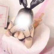 ゆら ⁀➷ 余すことなくペロって...🩷 SPIN(スピン)