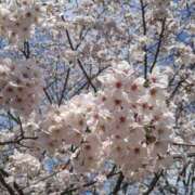 ヒメ日記 2026/04/01 16:26 投稿 はづき 西川口マーメイド