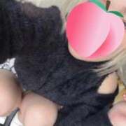 ここあ お知らせ🍀 デザインプリズム新宿