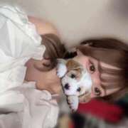 れあ わんわん🐶 すぐ舐めたくて学園立川校〜舐めたくてグループ〜