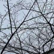 ヒメ日記 2026/03/10 17:32 投稿 さえこ 美熟女倶楽部Hip's 春日部店