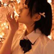 ヒメ日記 2026/03/10 22:48 投稿 かりん 川崎ソープ SAPPHIER -サファイア-