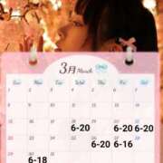 ヒメ日記 2026/03/14 11:17 投稿 かりん 川崎ソープ SAPPHIER -サファイア-