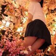 ヒメ日記 2026/06/11 06:03 投稿 かりん 川崎ソープ SAPPHIER -サファイア-