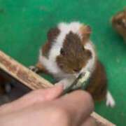 とあ 満喫😌🤍 つまみぐいイケちゃいますよ！