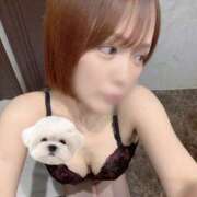 ヒメ日記 2026/02/26 12:00 投稿 ひかり abc＋