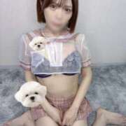 ヒメ日記 2026/02/28 01:02 投稿 ひかり abc＋