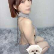 ヒメ日記 2026/02/28 15:54 投稿 ひかり abc＋