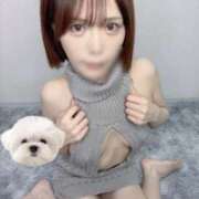 ヒメ日記 2026/03/03 16:02 投稿 ひかり abc＋