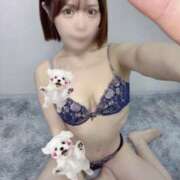 ひかり 🌟20:30からです🩷 abc＋