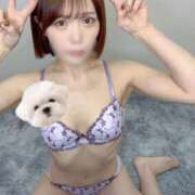 ヒメ日記 2026/03/21 20:33 投稿 ひかり abc＋