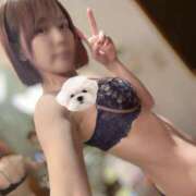 ヒメ日記 2026/03/24 12:11 投稿 ひかり abc＋