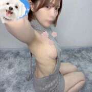 ヒメ日記 2026/03/26 23:50 投稿 ひかり abc＋