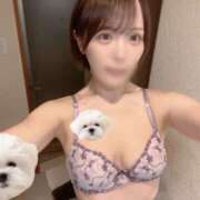 ヒメ日記 2026/04/23 21:18 投稿 ひかり abc＋