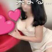 ヒメ日記 2026/02/24 00:47 投稿 まゆみ 水戸人妻花壇