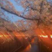 ヒメ日記 2026/04/02 21:00 投稿 かほ CHERRY WEST(チェリーウエスト)