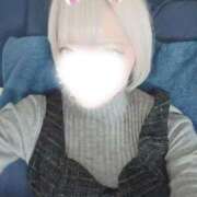 いぶ 予定🗓 ホワイトベル