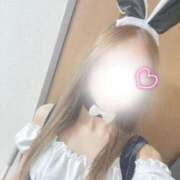 ヒメ日記 2026/02/24 03:40 投稿 白咲かれん ウルトラロイヤル