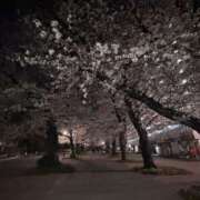 めいか ❤︎ MINT（ミント）