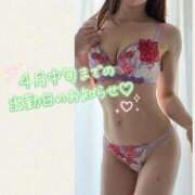 ヒメ日記 2026/03/29 20:38 投稿 あやか 東京妻