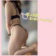 ヒメ日記 2026/04/18 09:48 投稿 あやか 東京妻