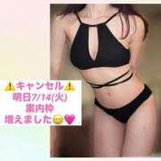 ヒメ日記 2026/07/13 15:38 投稿 あやか 東京妻