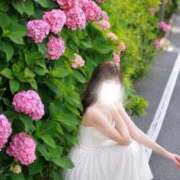 ヒメ日記 2026/07/12 11:02 投稿 鈴原しおり LUXE(リュクス)