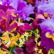 さゆり こんばんは☺️💖🌹 出会い系人妻ネットワーク 上野〜大塚編