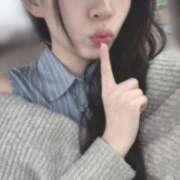 ヒメ日記 2026/02/25 08:22 投稿 ぷりん ロイヤルヴィトン(宇都宮)