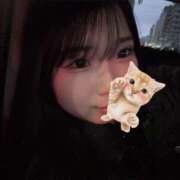 ヒメ日記 2026/02/25 18:16 投稿 るるあ デリヘルラボ・クレージュ