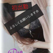 佐倉れお ※無題 麗しいマダム