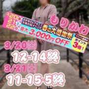 ヒメ日記 2026/03/12 18:05 投稿 森川 松戸おかあさん