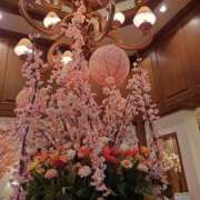 ヒメ日記 2026/03/31 14:45 投稿 森川 松戸おかあさん