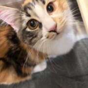 ヒメ日記 2026/03/07 16:49 投稿 みい 姫コレクション