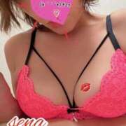 ヒメ日記 2026/06/20 13:17 投稿 瀬名 変態美熟女お貸しします。