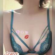 ヒメ日記 2026/07/04 13:07 投稿 瀬名 変態美熟女お貸しします。