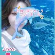 ヒメ日記 2026/07/13 19:37 投稿 瀬名 変態美熟女お貸しします。