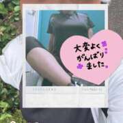 ヒメ日記 2026/09/03 16:07 投稿 瀬名 変態美熟女お貸しします。