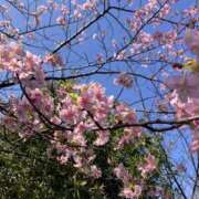 ヒメ日記 2026/03/10 07:43 投稿 悠-はるか 熟女10000円デリヘル 川崎