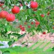 ヒメ日記 2026/03/14 16:52 投稿 悠-はるか 熟女10000円デリヘル 川崎