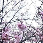 ヒメ日記 2026/03/20 19:04 投稿 悠-はるか 熟女10000円デリヘル 川崎