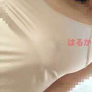 ヒメ日記 2026/03/26 17:28 投稿 悠-はるか 熟女10000円デリヘル 川崎
