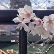 ヒメ日記 2026/03/27 09:55 投稿 悠-はるか 熟女10000円デリヘル 川崎