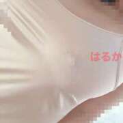 ヒメ日記 2026/04/02 10:13 投稿 悠-はるか 熟女10000円デリヘル 川崎