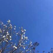 ヒメ日記 2026/03/19 19:45 投稿 悠-はるか 熟女10000円デリヘル横浜