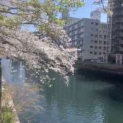 ヒメ日記 2026/04/07 12:00 投稿 悠-はるか 熟女10000円デリヘル横浜