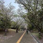 ヒメ日記 2026/04/07 13:00 投稿 ひびき ルネッサンス