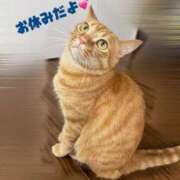 ヒメ日記 2026/06/28 09:02 投稿 ひびき ルネッサンス